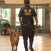 safeguard_04192009-0324.JPG