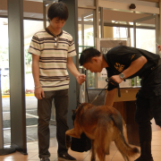safeguard_04192009-0348.JPG