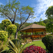 egbr_01192008-0019.JPG