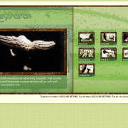 chrysara_study2